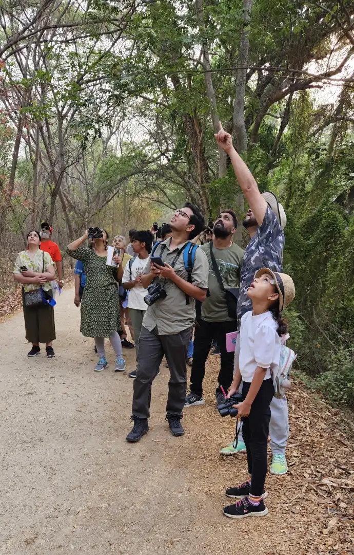 Copy of IMG-20250329-WA0029